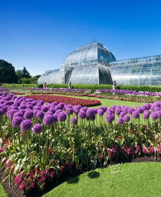 Discover Kew