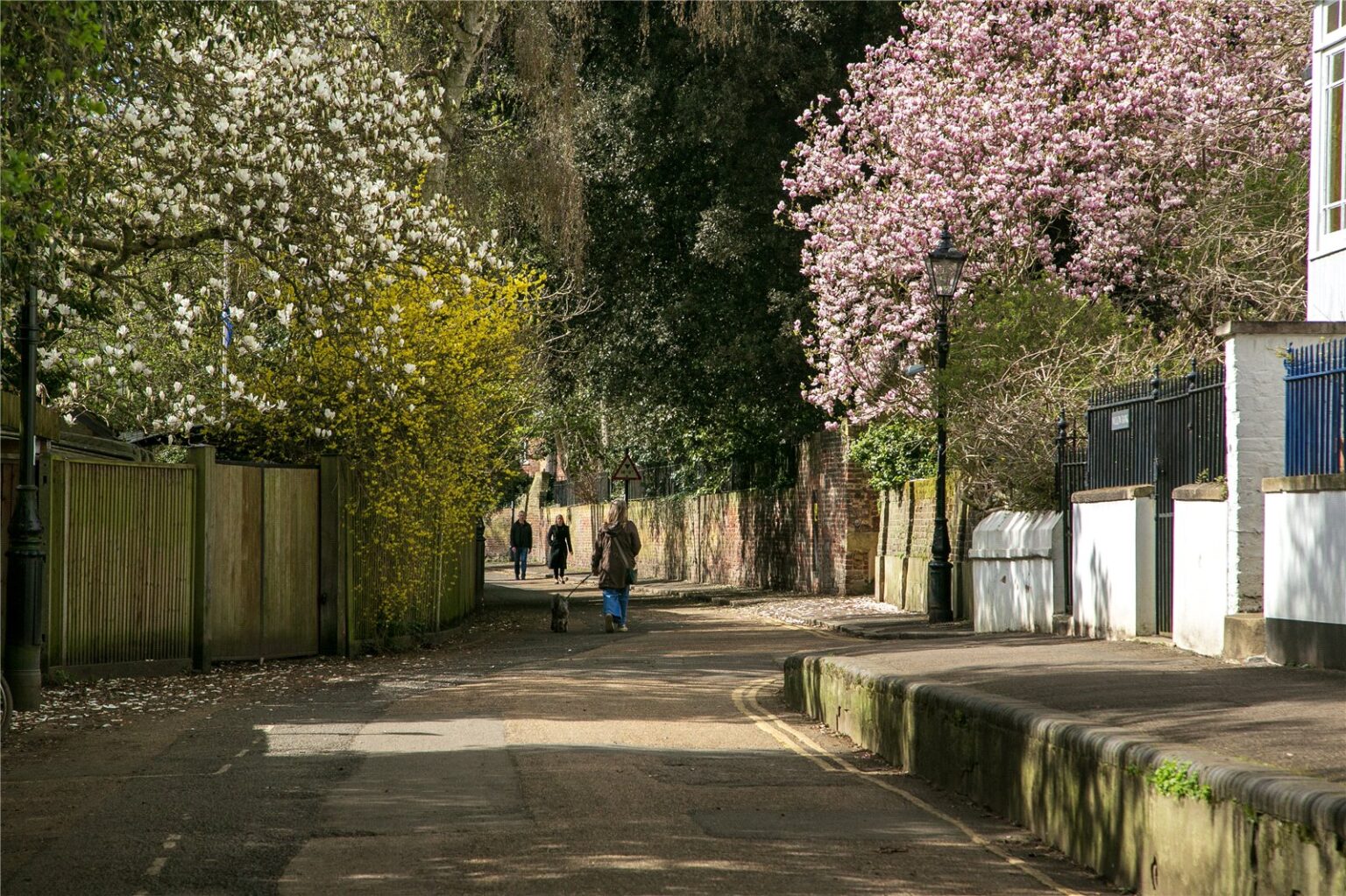 Ferry Road, Twickenham, TW1 gallery 16