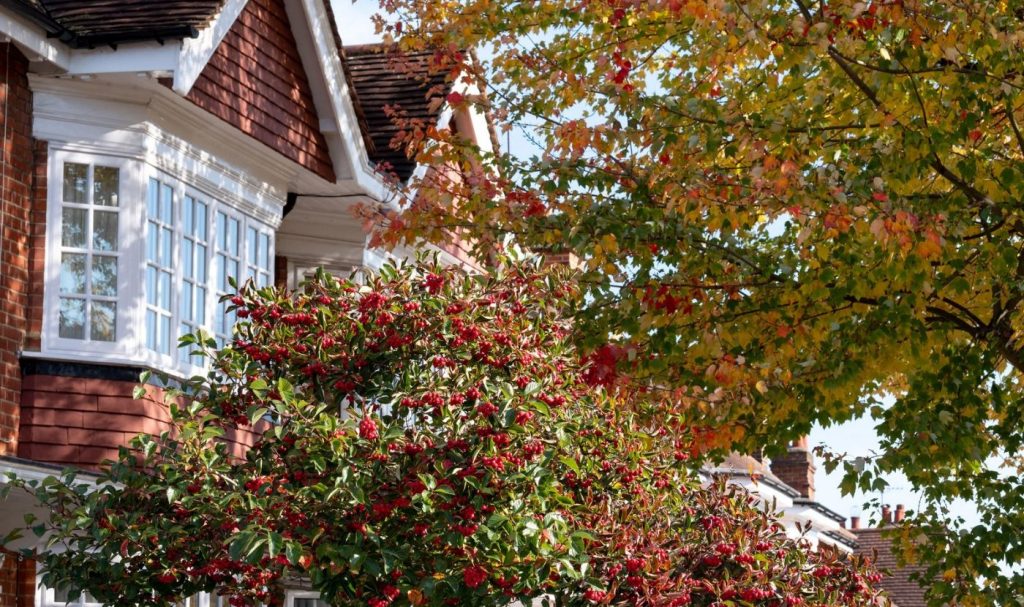 Double-digit growth in sales market activity