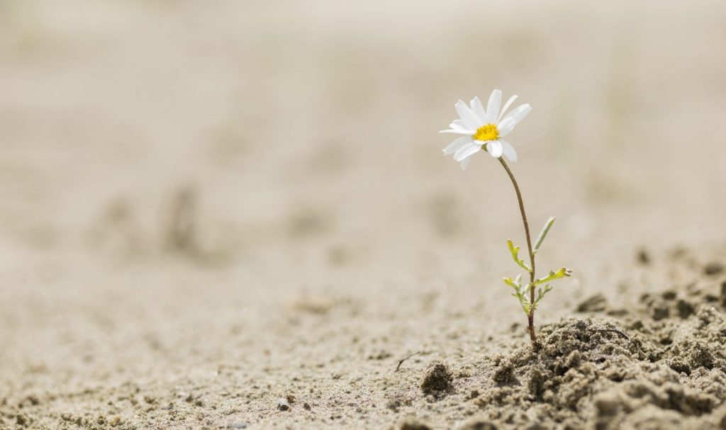 Housing market resilient despite ongoing affordability challenges