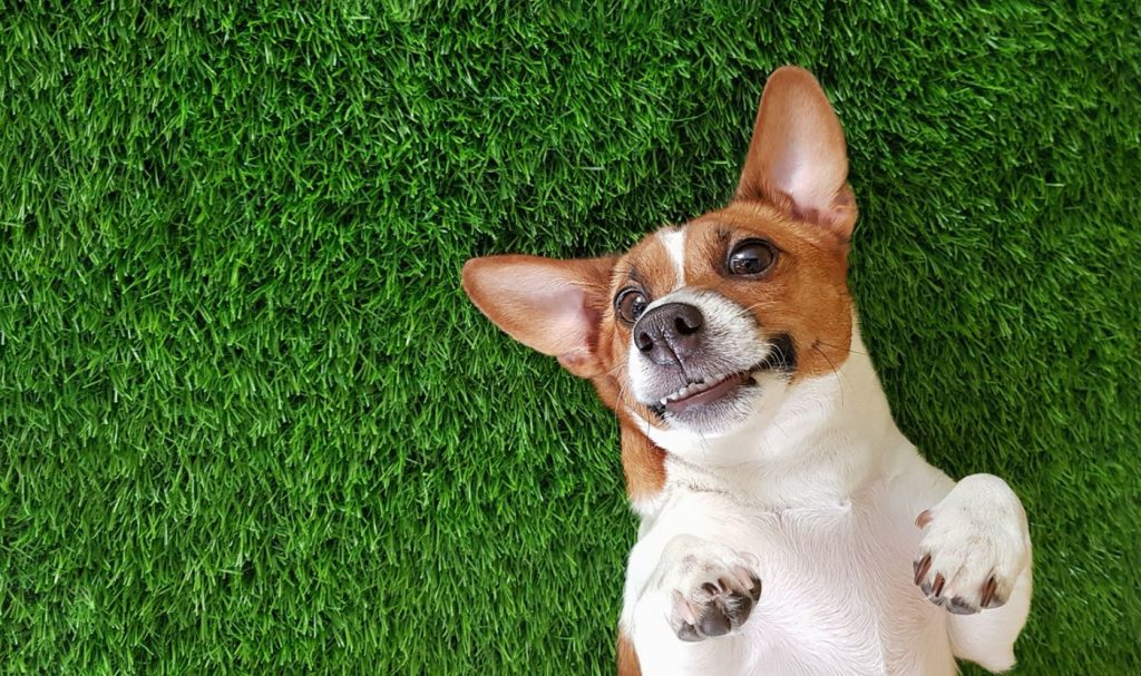 Base rate to 4.5% – lowest rate since June 2023