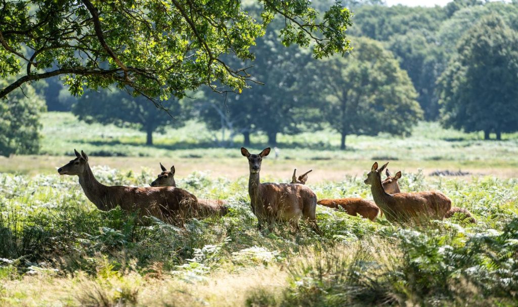 Property prices experience steady growth as spring market picks up