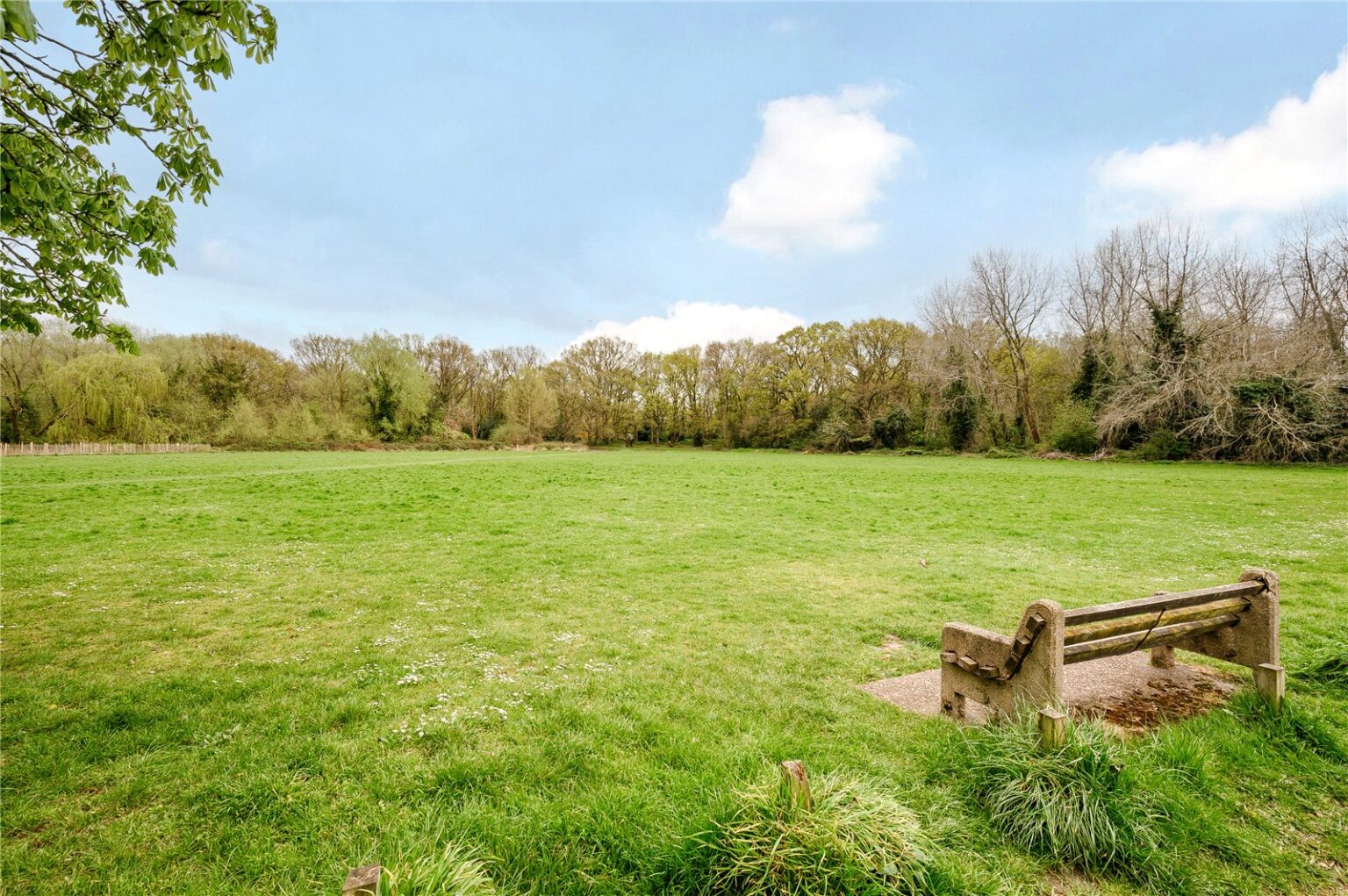 Vine Road, London, SW13 gallery 17