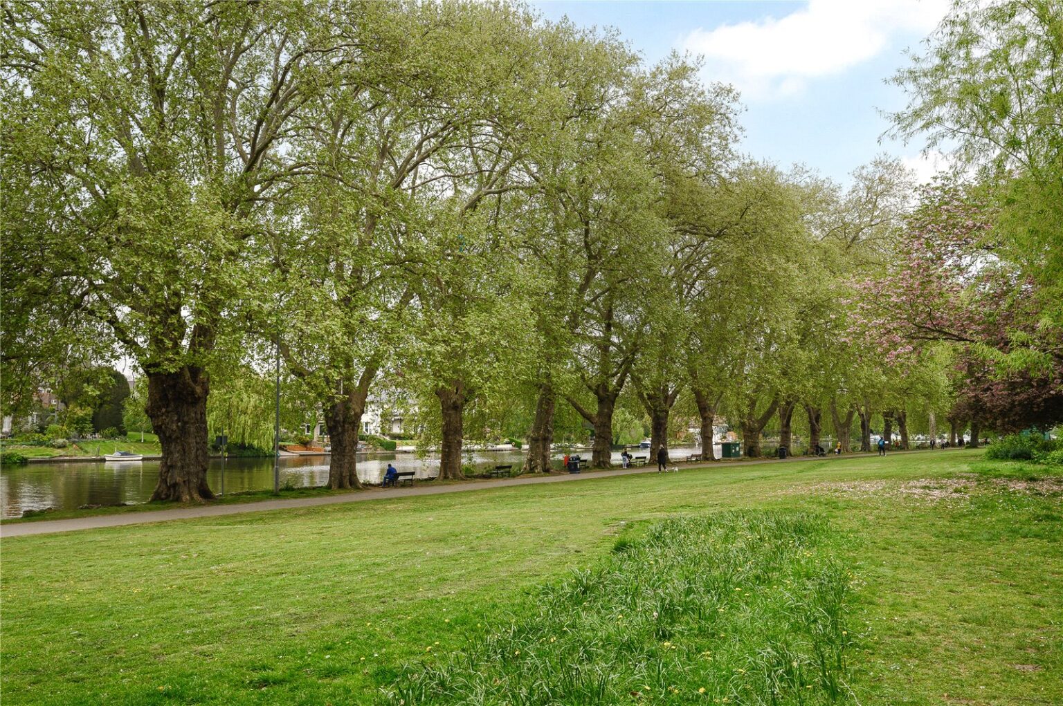 Kingston Riverside, Henry Macaulay Avenue, KT2 gallery 21