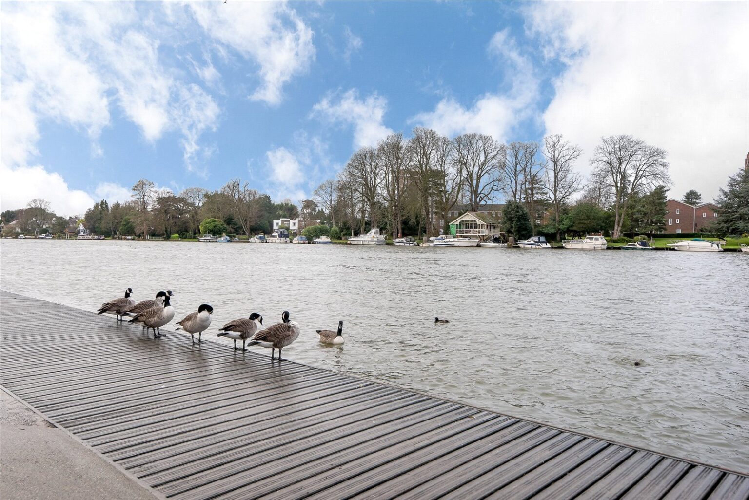 Richmond Road, Kingston upon Thames, KT2 gallery 19