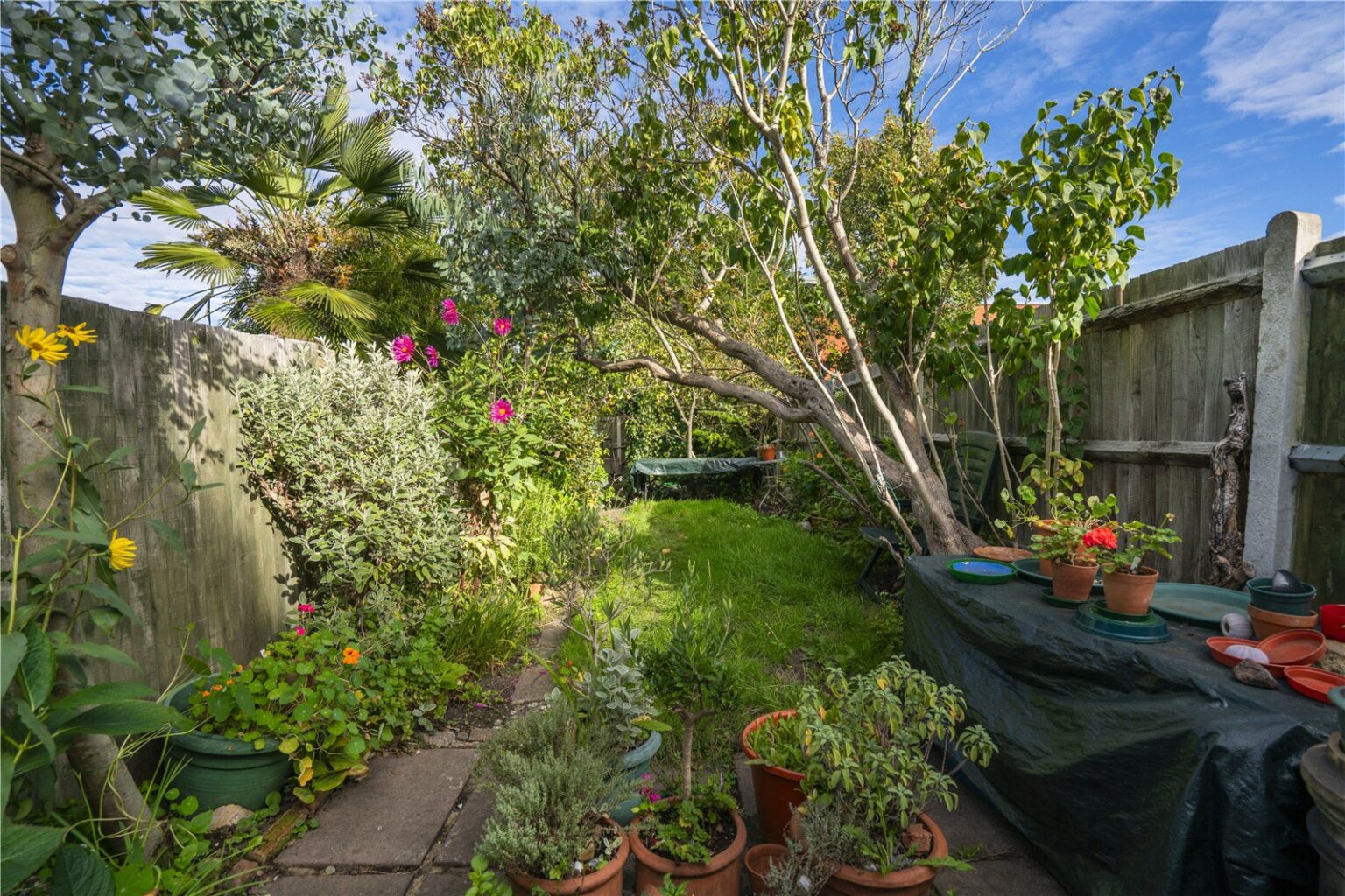 Manor Grove, Richmond, TW9 gallery 10