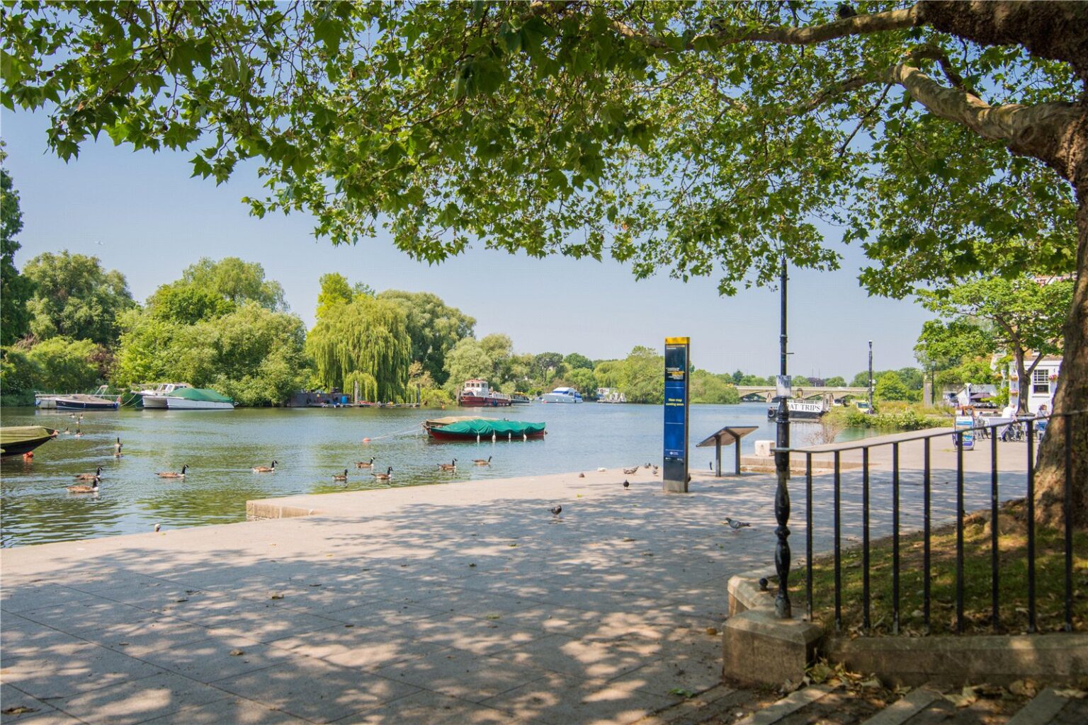 Water Lane House, 5 Water Lane, TW9 gallery 11