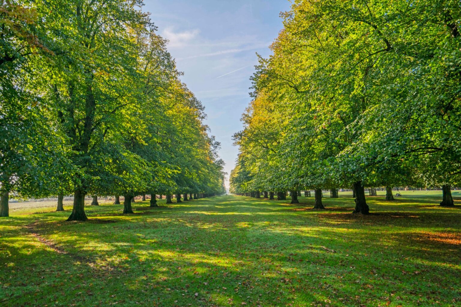 Harrowdene Gardens, Teddington, TW11 gallery 10