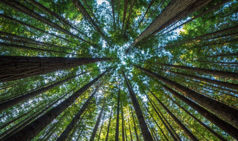 Encouraging Housing Market Predictions in 2026