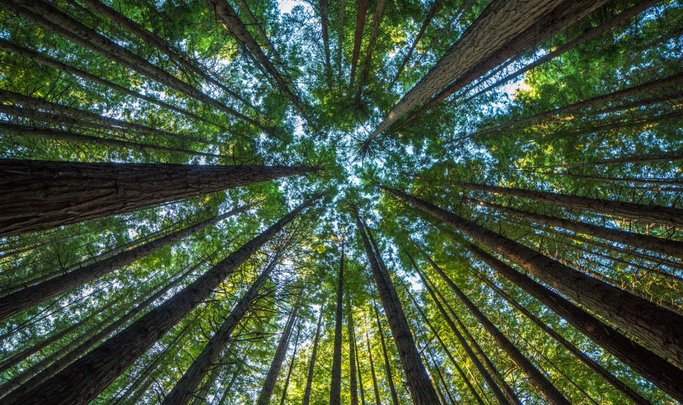 Encouraging Housing Market Predictions in 2026